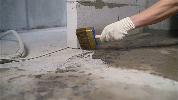 SJ Waterproofing Pros Waterproofing coverage map for Durand, MI and surrounding area